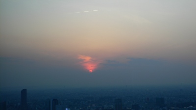 P1060041.jpg